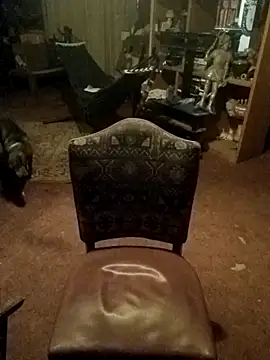 wilsons12 online show from 04.11.26