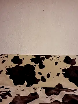 Zgodanilep online show from 09.20.25