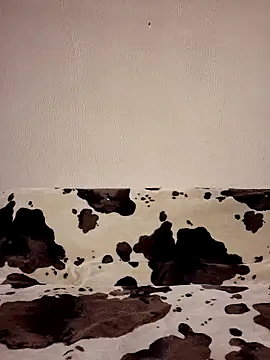 Zgodanilep online show from 04.16.26