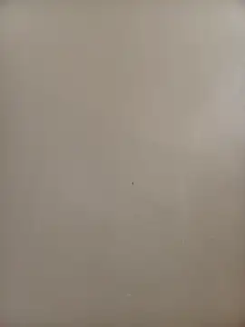 BriannaVincent online show from 11.09.25