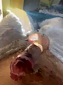 toto36643 online show from 02.23.26