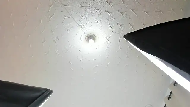 Snapshot of Alison_Chan_ chatting on 04.12.26 Alison Chan online show from 04.12.26