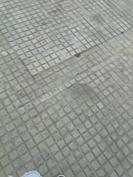 jovenestraviesos online show from 03.01.26