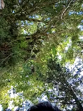 giselxxx hot online show from 03.12.25