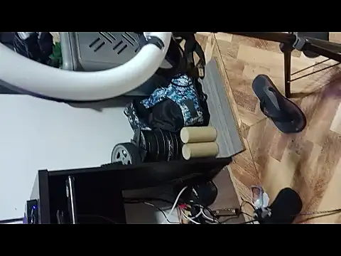 rolobot online show from 03.13.26