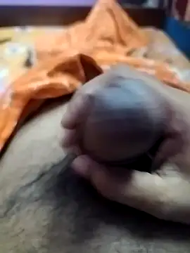 dick 01728 online show from 02.02.25