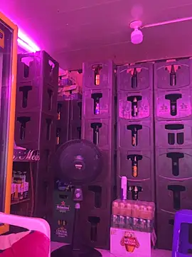 Hot beauty   online show from 03.27.26