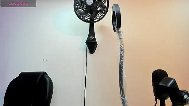 alice  tylor online show from 03.12.25