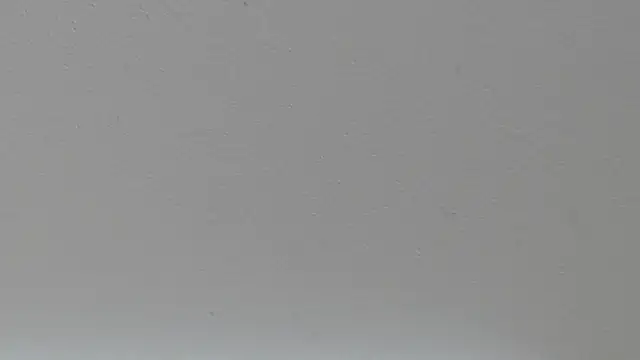 Snapshot of pathogen1 chatting on 01.15.26 pathogen1 online show from 01.15.26