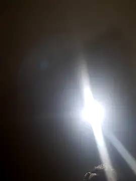 Colorao4 online show from 10.28.25