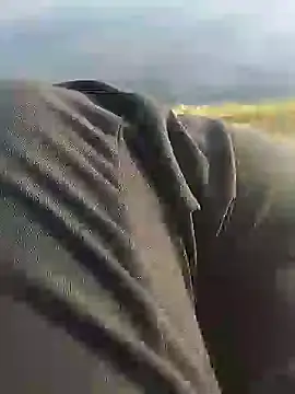 hexsmith96 online show from 12.18.24