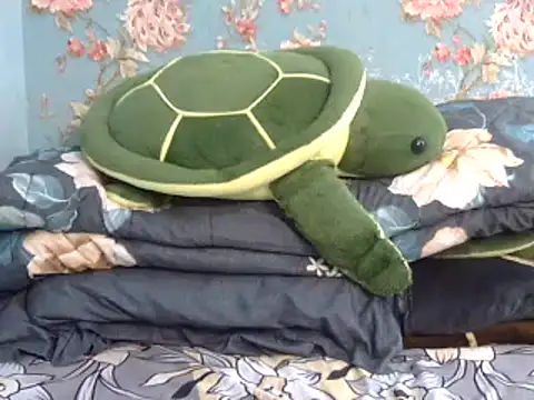 Snapshot of Tiny_lusty chatting on 03.11.25 Tiny lusty online show from 03.11.25