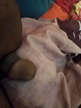 sadunt online show from 03.14.26