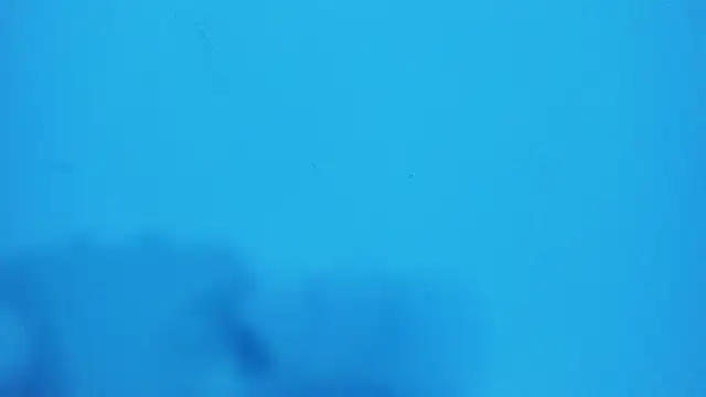 Snapshot of _hairybeard_ chatting on 02.20.25 hairybeard online show from 02.20.25