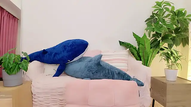 cohaku 329 online show from 01.09.25