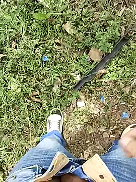 C vas  online show from 03.07.25