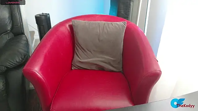 Thekodyy online show from 02.06.26