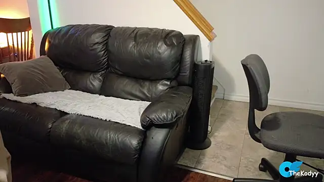 Snapshot of Thekodyy chatting on 03.04.26 Thekodyy online show from 03.04.26