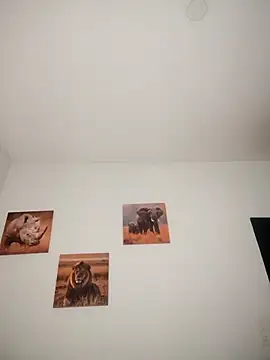 Shria107 online show from 12.14.25