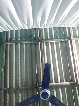 hotbaby 5 online show from 11.20.25