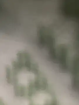 Snapshot of Estefanii- chatting on 12.16.24 Estefanii- online show from 12.16.24