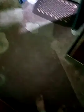 InboardHasek online show from 12.05.24