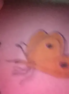 Nadia-2 online show from 01.24.25