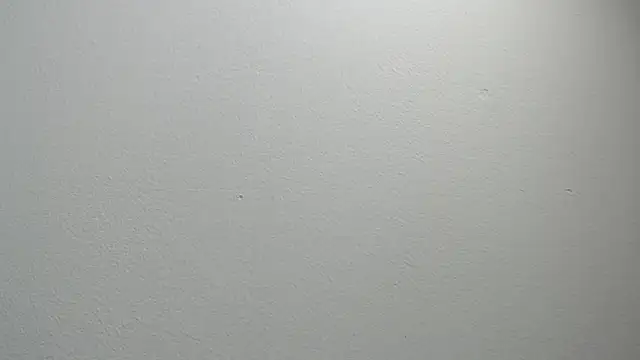 sussy leon online show from 02.11.25