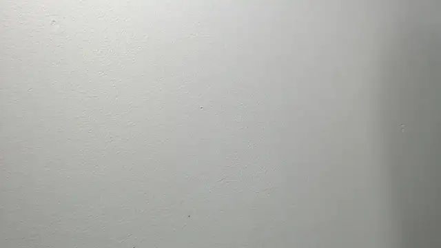 sussy leon online show from 03.04.25