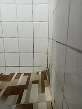 Snapshot of Elber24 chatting on 12.04.25 Elber24 online show from 12.04.25