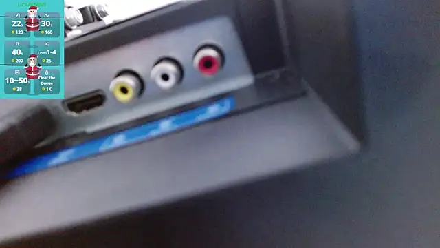 Aurora blossom   online show from 01.03.25