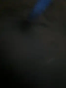 A-mira online show from 02.10.26