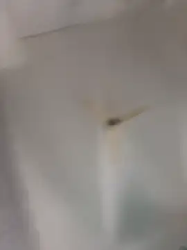 Snapshot of playboy_30 chatting on 11.16.25 playboy 30 online show from 11.16.25