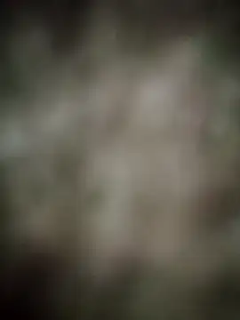 INDIANBOY7439 online show from 03.05.26