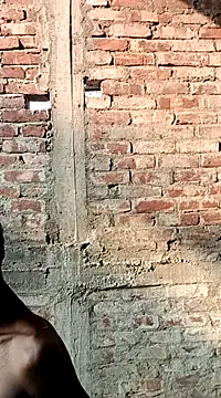 NICK IN online show from 03.02.25