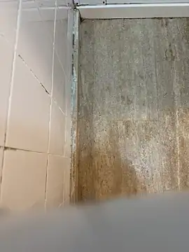 Snapshot of reelciii21 chatting on 03.23.25 reelciii21 online show from 03.23.25