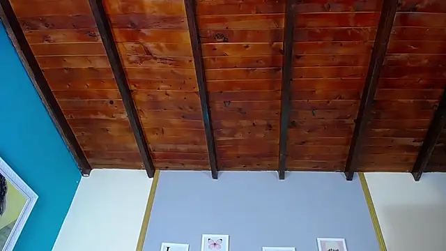 dante ferraraa online show from 03.11.25