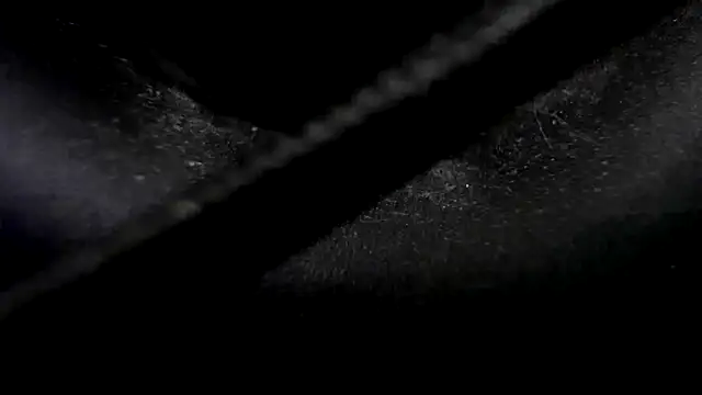 Niquitasparkles online show from 01.23.25