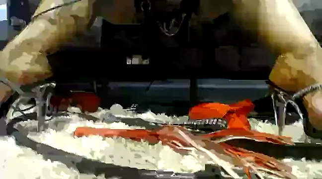 Niquitasparkles online show from 02.04.25