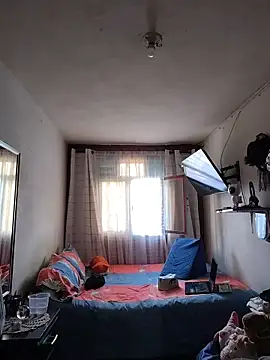 Dani pegin online show from 11.15.25