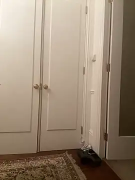 francaFerrariRoma online show from 12.28.24