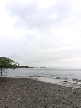 IaDoherty online show from 09.12.25