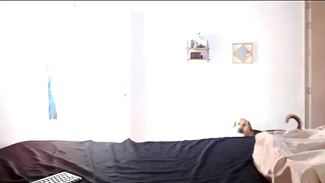 cherrydelioncourt online show from 04.07.26