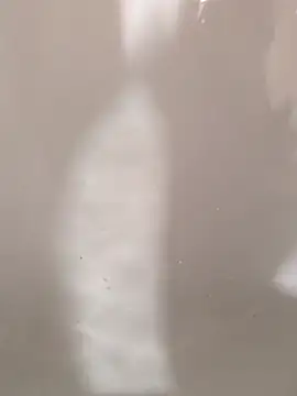 SensualG300 online show from 02.12.26