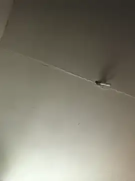 Ozomitro online show from 10.25.25