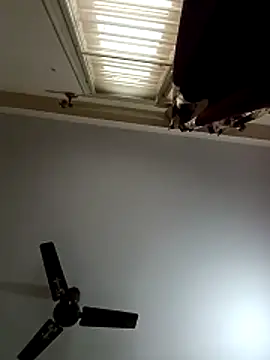 Snapshot of blr_boi chatting on 12.03.25 blr boi online show from 12.03.25