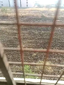 1010SumiT online show from 01.27.25