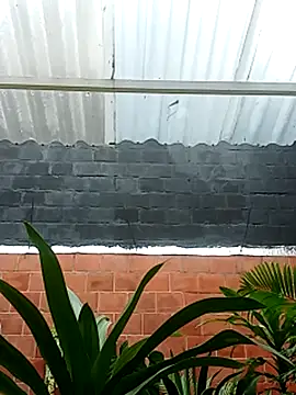 luchoarr online show from 11.14.25