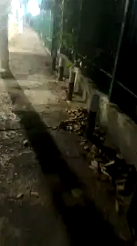 spacegirlll online show from 03.14.25