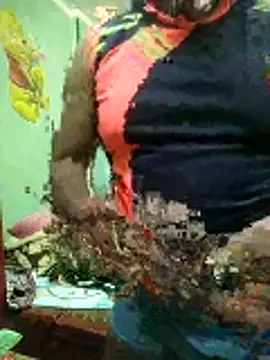 Snapshot of ShelfyOfferer chatting on 01.31.26 ShelfyOfferer online show from 01.31.26